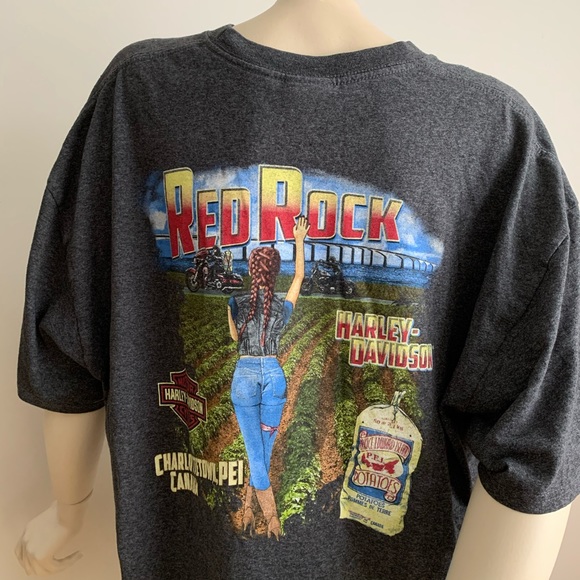 Grey Harley Davidson graphic top - Picture 6 of 8